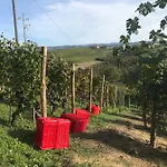 Il Grecale - E